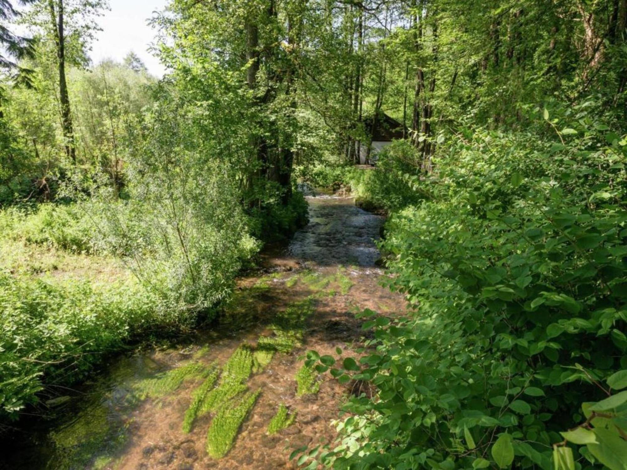 Cozy In With Large Garden Vakantiehuis *